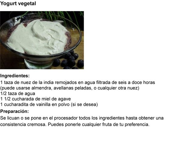 Yogurt vegetal
